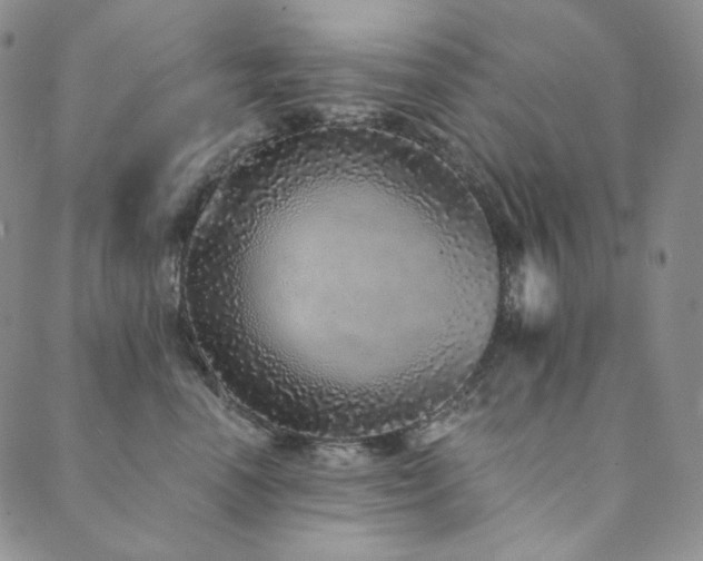 X0000089880666200706281351