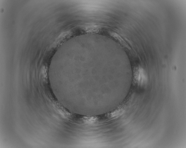 X0000089880667200706281351