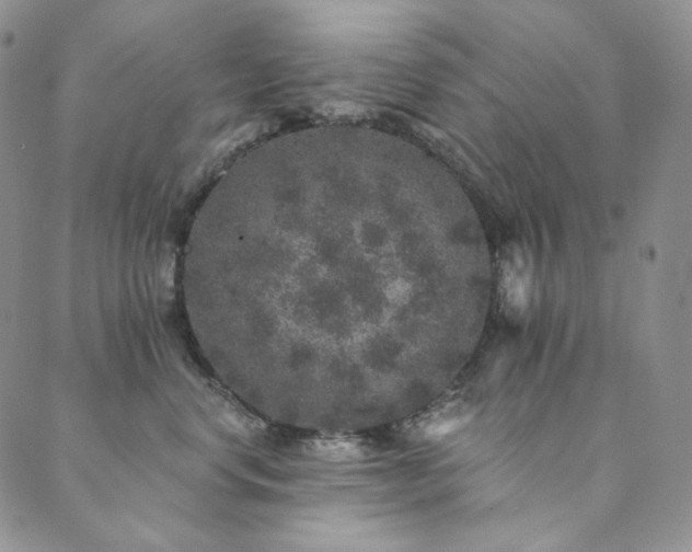 X0000089880668200706281351