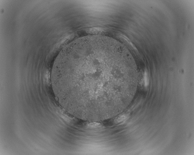 X0000089880669200706281351