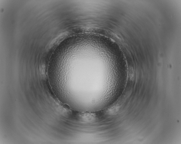 X0000089880670200706281351