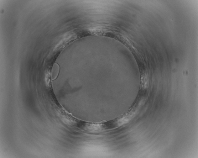 X0000089880671200706281351