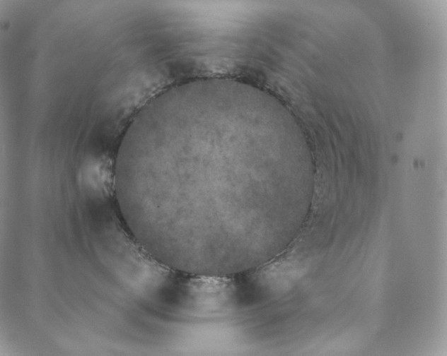 X0000089880672200706281351