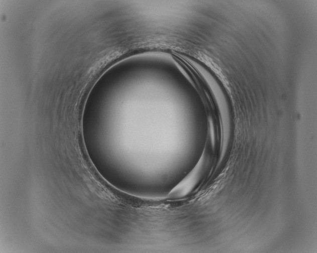 X0000089880673200706281350