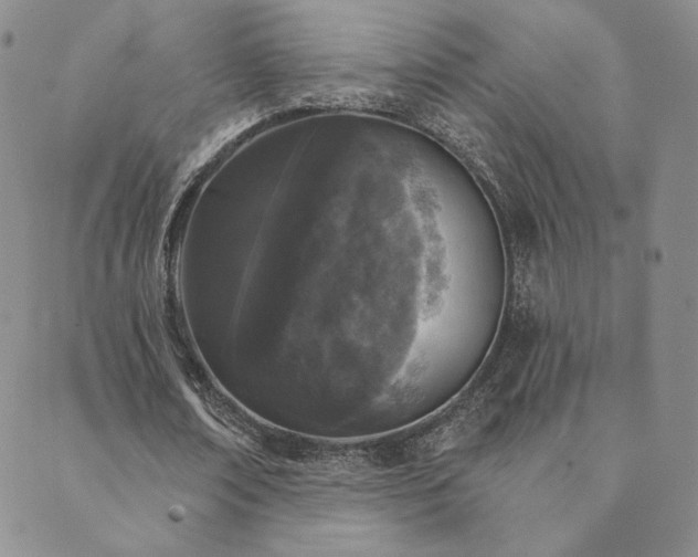 X0000089880674200706281350