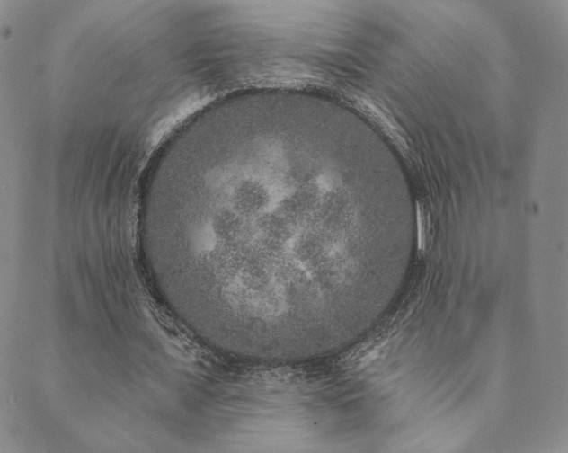 X0000089880675200706281350