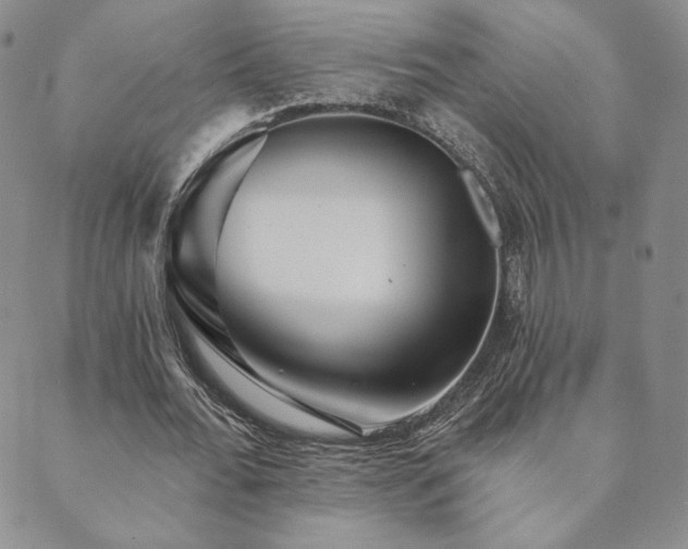 X0000089880676200706281350