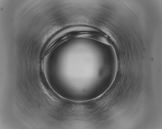 X0000089880677200706281350