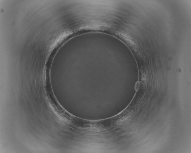 X0000089880678200706281350