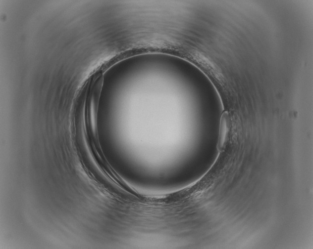 X0000089880680200706281350