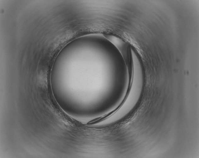 X0000089880681200706281350