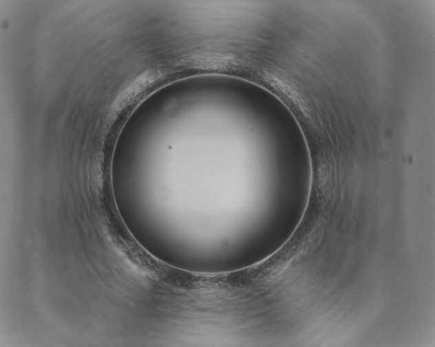 X0000089880682200706281350