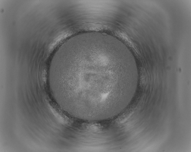 X0000089880683200706281350