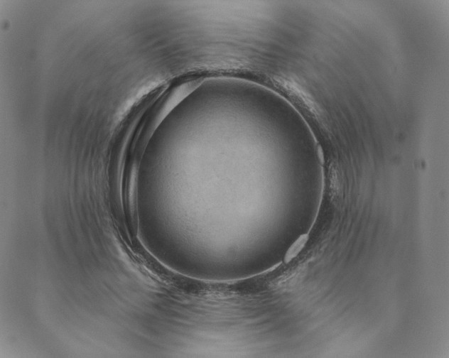 X0000089880684200706281350