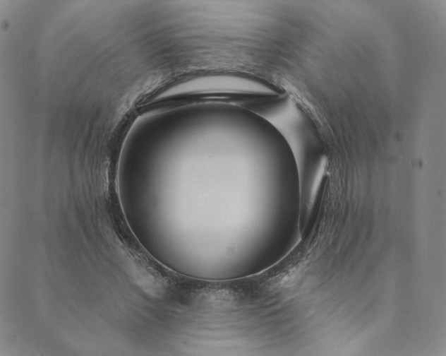 X0000089880685200706281350