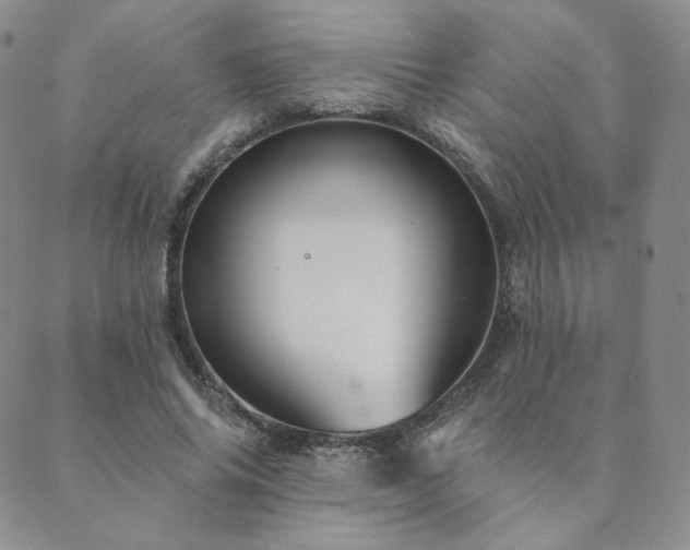 X0000089880686200706281350