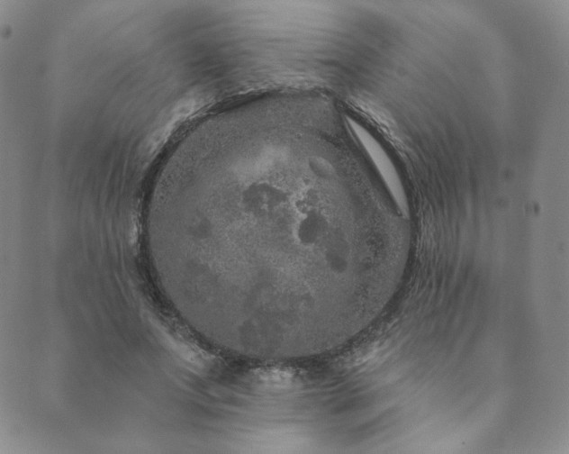 X0000089880687200706281350