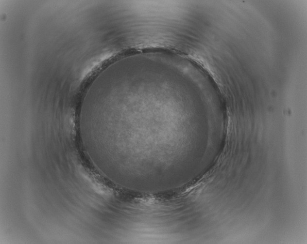 X0000089880688200706281350