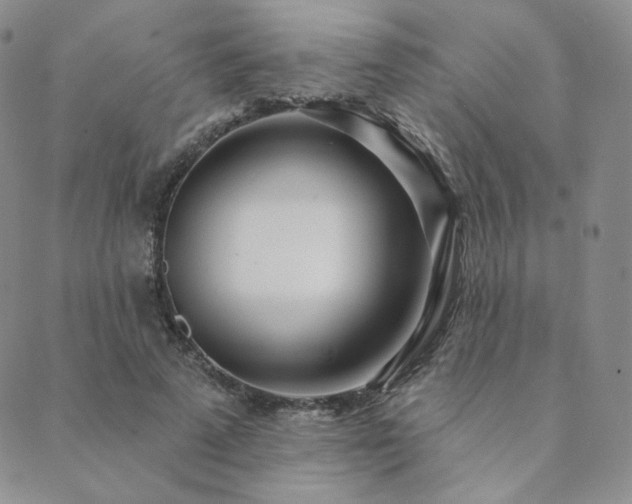 X0000089880689200706281350