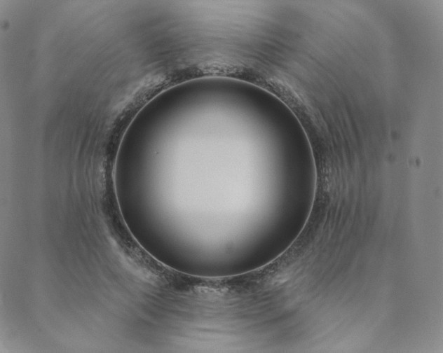 X0000089880690200706281350