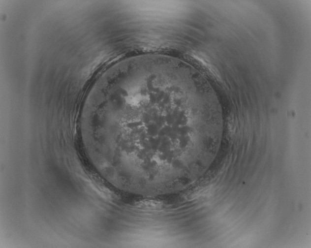 X0000089880691200706281350