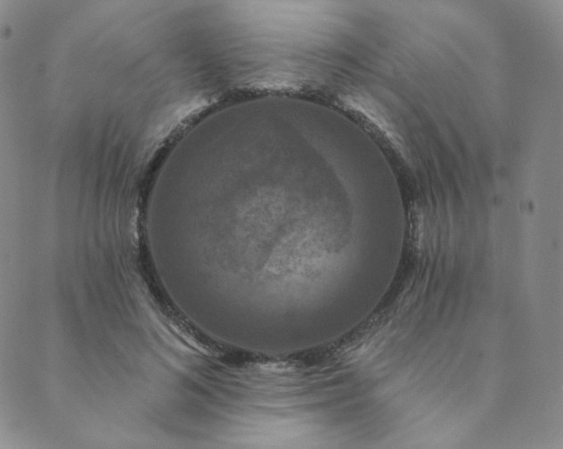 X0000089880692200706281350