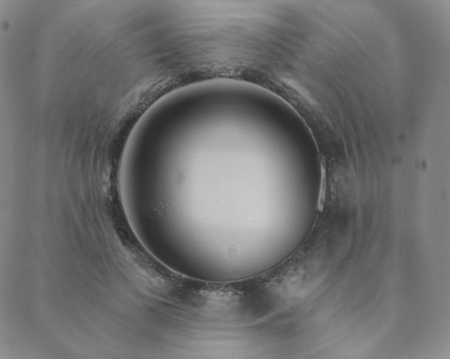 X0000089880693200706281350