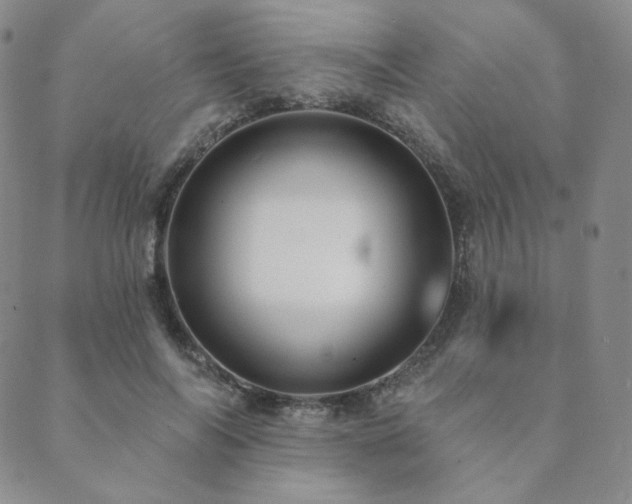 X0000089880694200706281350