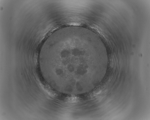 X0000089880695200706281350