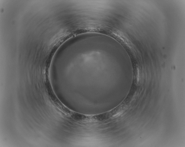 X0000089880696200706281350