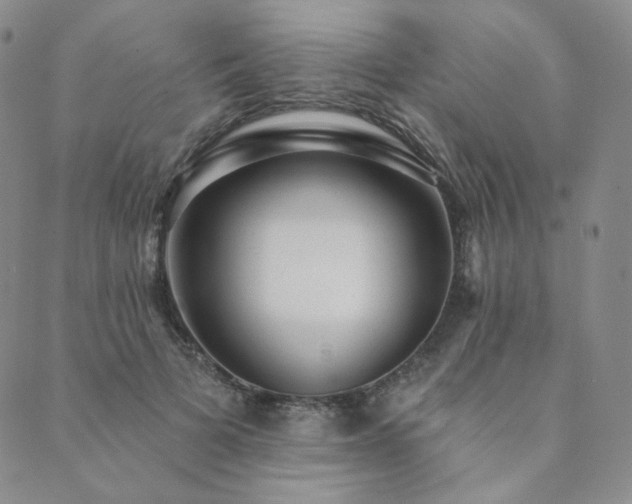 X0000089880697200706281350