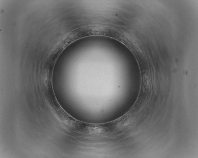 X0000089880698200706281350