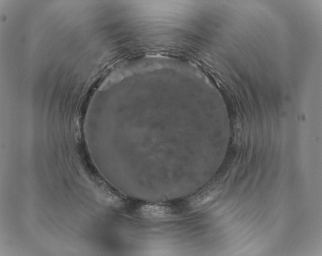 X0000089880699200706281350