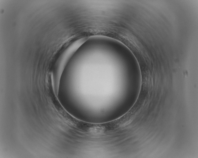 X0000089880700200706281350