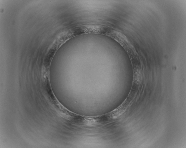 X0000089880701200706281350