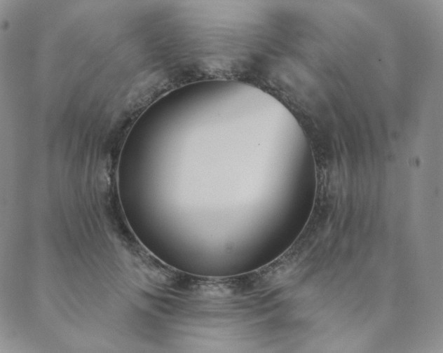 X0000089880702200706281350