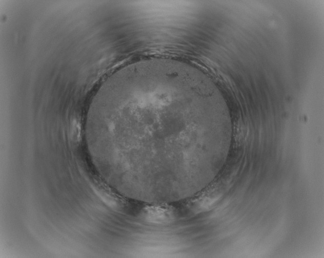 X0000089880703200706281350