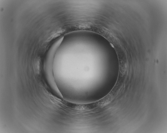 X0000089880704200706281350