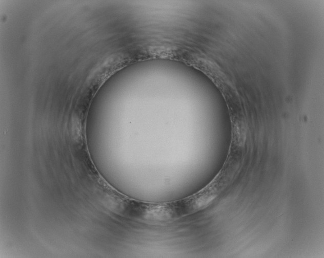 X0000089880705200706281350