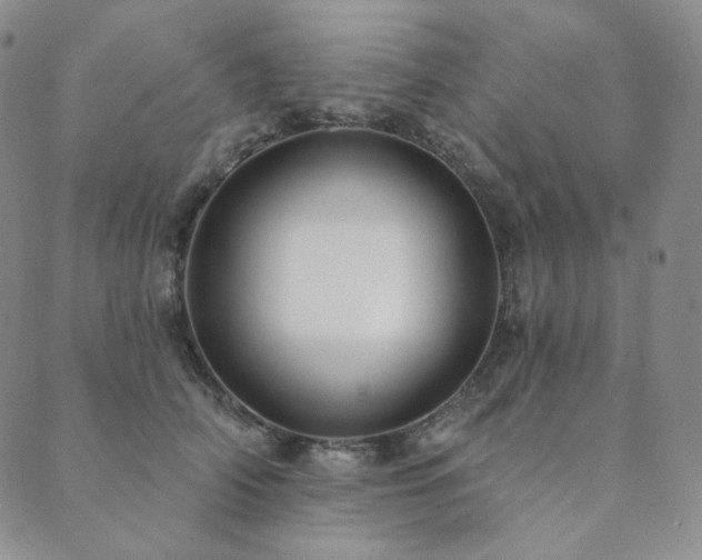 X0000089880706200706281350