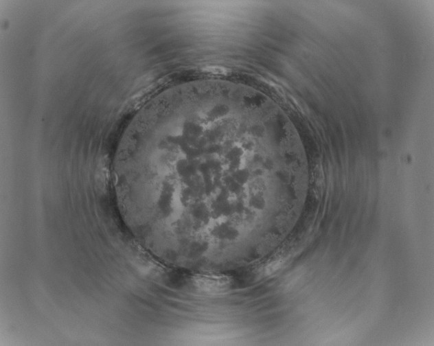 X0000089880707200706281350