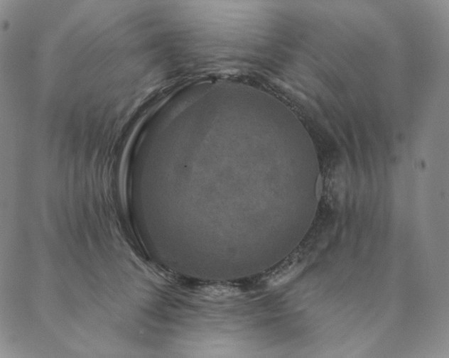 X0000089880708200706281350