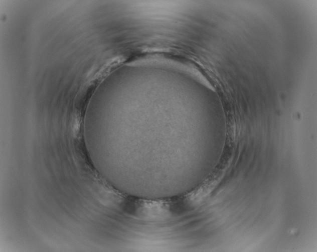 X0000089880709200706281350