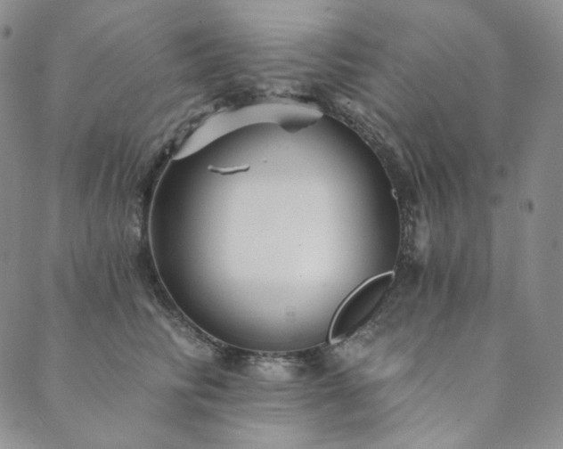 X0000089880710200706281350