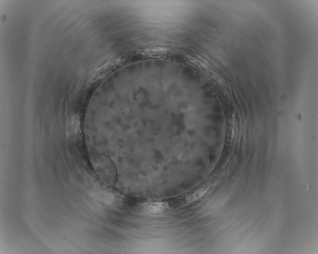 X0000089880711200706281350