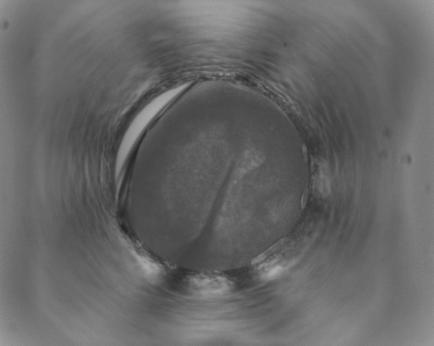 X0000089880712200706281350