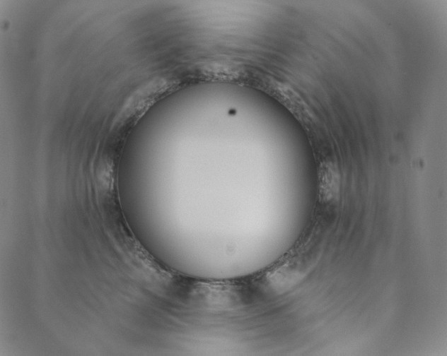 X0000089880713200706281350