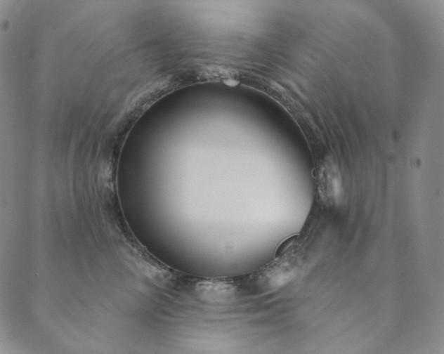 X0000089880714200706281350