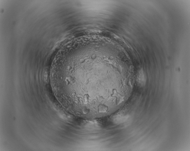 X0000089880715200706281350