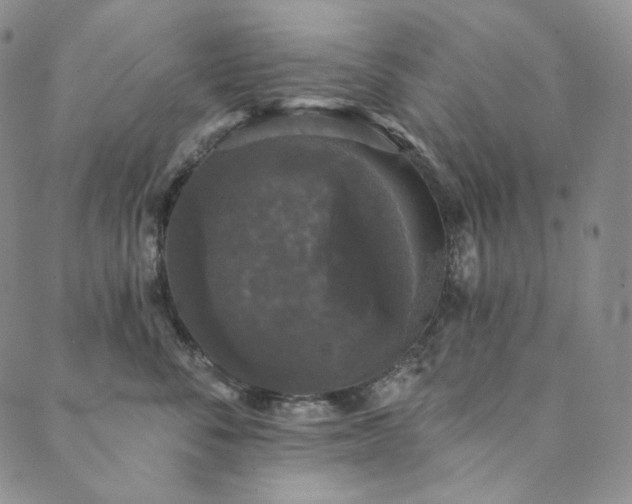 X0000089880716200706281350